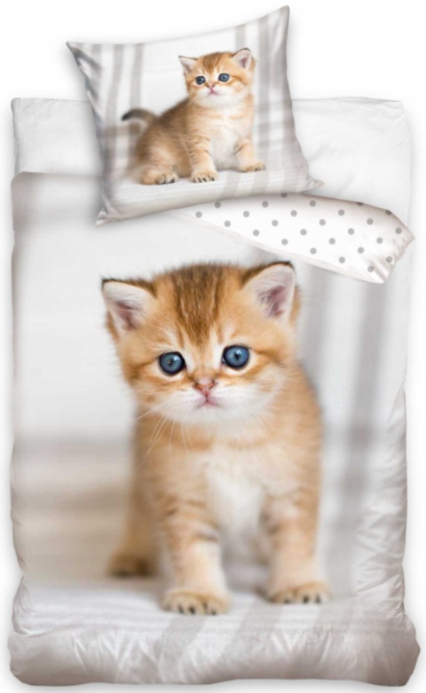 POŚCIEL DZIECIĘCA MŁODZIEŻOWA KOTY KOTKI 140X200