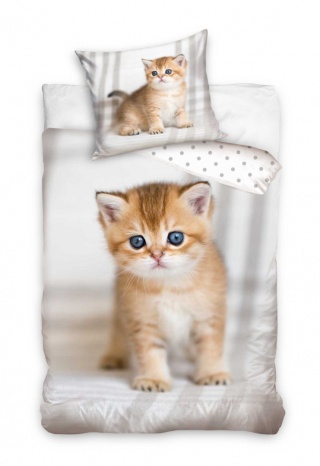 POŚCIEL DZIECIĘCA MŁODZIEŻOWA KOTY KOTKI 140X200