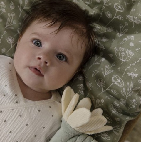 LITTLE DUTCH GRZECHOTKA KWIATUSZEK KWIATEK GOOSE