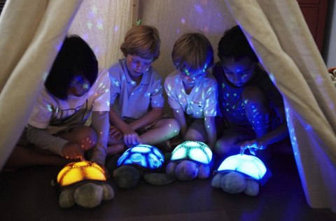 Cloud B CLTT-7323-BL Lampka nocna żółw magiczne 8 konstelacji NIEBIESKI