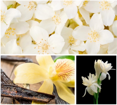SÓL PIANKA DO KĄPIELI Aroma Booster 80g DRESDNER