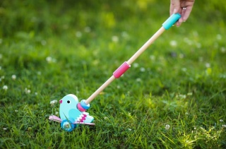 ADAM TOYS PCHACZ PTASZEK DO PCHANIA NA KIJU
