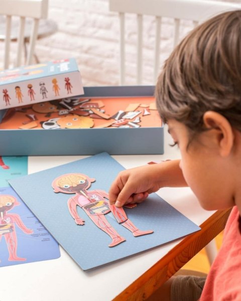 Magnetyczna układanka CIAŁO CZŁOWIEKA Apli Kids Magnetyczna układanka CIAŁO CZŁOWIEKA Apli Kids