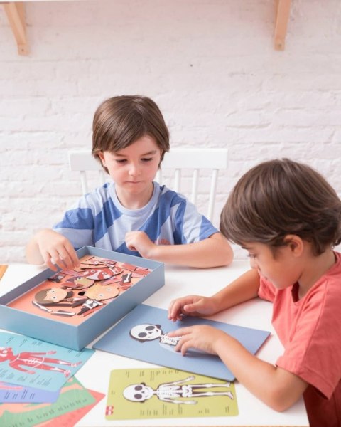 Magnetyczna układanka CIAŁO CZŁOWIEKA Apli Kids Magnetyczna układanka CIAŁO CZŁOWIEKA Apli Kids