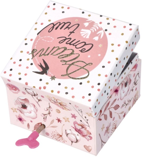 SZKATUŁKA Z POZYTYWKĄ GIRLS RULE ADAM TOYS