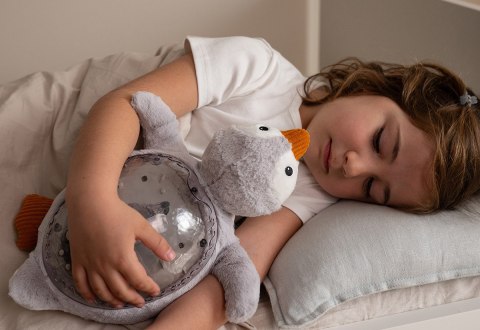 Projektor z pozytywką Pingwin ECO Cloud b Tranquil Penguin