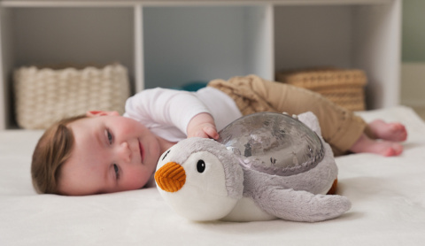 Projektor z pozytywką Pingwin ECO Cloud b Tranquil Penguin