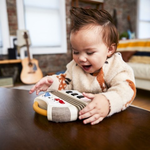 Tiny Love Elektroniczny akordeon - Tiny Rockers