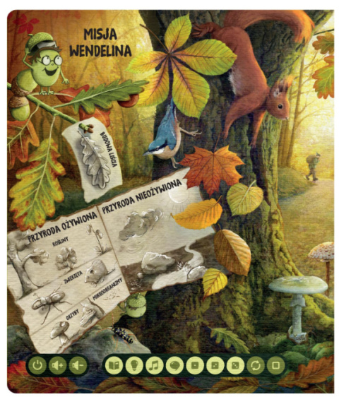 ALBI Książka Nasza przyroda 6+ ALBI Książka Nasza przyroda 6+