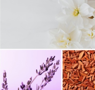 RETINOL + SKWALAN aktywna sól do kąpieli 80g DRESDNER ESSENZ