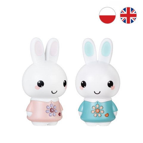 Króliczek Alilo Honey Bunny G6PRO - turkusowy niebieski