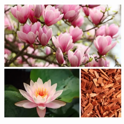 Musująca tabletka WARM UP FOR FUN - DRESDNER ESSENZ