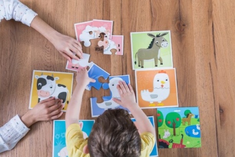 Baby puzzle – DWUSTRONNE puzzle dla najmłodszych – WIEŚ