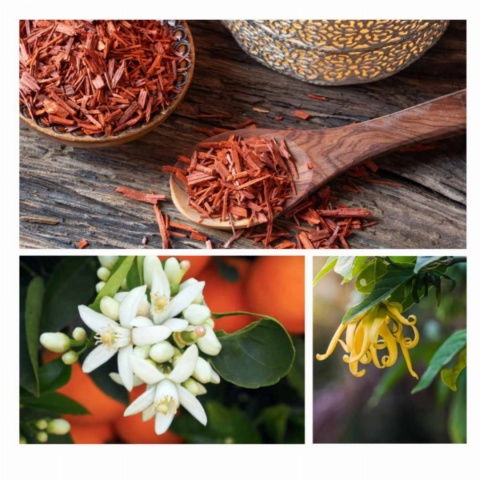 BAJKOWY OGRÓD - Eliksir do kąpieli 60g - DRESDNER ESSENZ