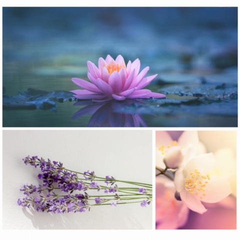 STRESS AWAY - pianka do kąpieli 60g - DRESDNER ESSENZ