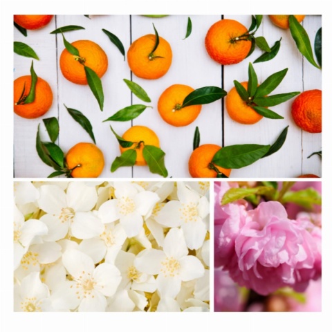 SUNSET GLOW - Rozświetlający puder do kąpieli 60g - DRESDNER ESSENZ