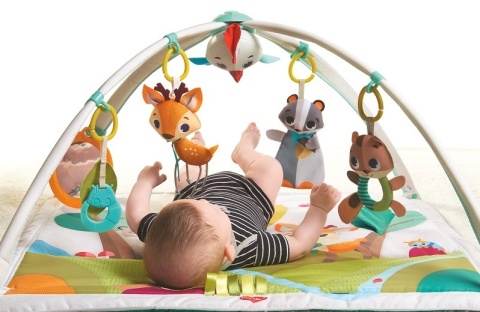 USZ. TINY LOVE 12051068 Gimnastyka dla bobasa z pałąkami Leśna Kraina