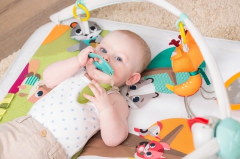 USZ. TINY LOVE 12051068 Gimnastyka dla bobasa z pałąkami Leśna Kraina