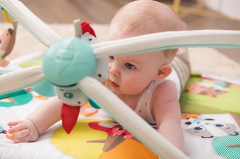 USZ. TINY LOVE 12051068 Gimnastyka dla bobasa z pałąkami Leśna Kraina