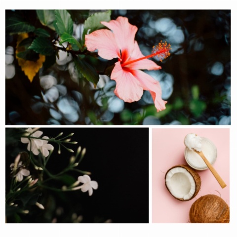 TROPIKALNA BRYZA - sól do kąpieli 60g - DRESDNER ESSENZ