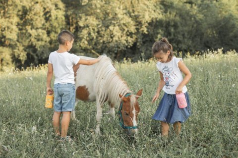 SASSI Termos obiadowy dla dzieci 350ml Królik