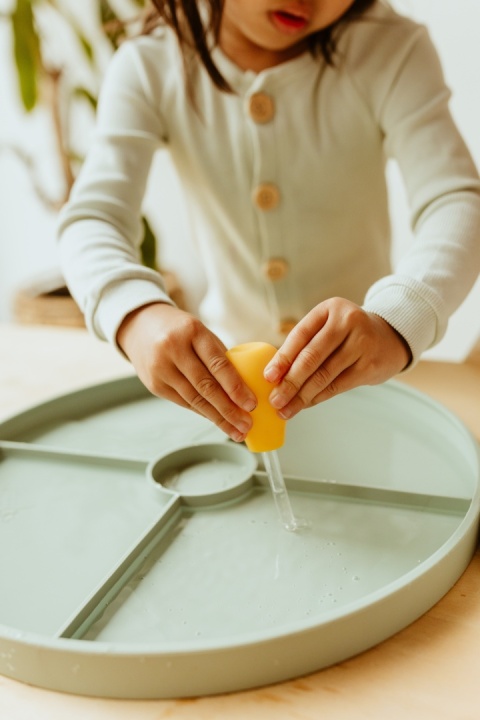 Jellystone, Tacka sensoryczna Play Tray Sage 2w1 pojemnik kolor zielony