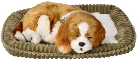 Perfect Petzzz Oddychający szczeniaczek Cavalier