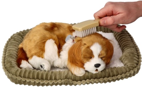 Perfect Petzzz Oddychający szczeniaczek Cavalier