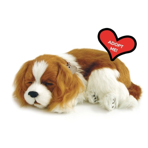 Perfect Petzzz Oddychający szczeniaczek Cavalier