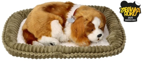 Perfect Petzzz Oddychający szczeniaczek Cavalier