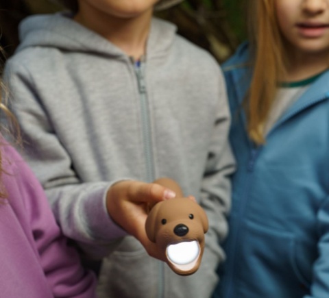 RABBIT & FRIENDS LATARKA PIES BUDDY LAMPKA DLA DZIECI SILIKON USB NIE RAZI