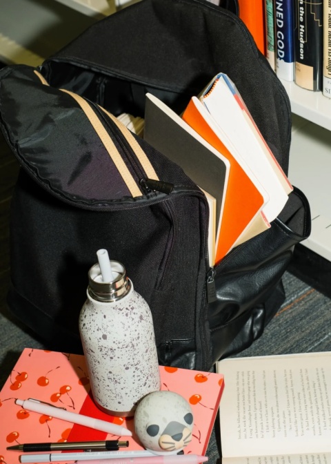 Bestie Asobu Butelka termiczna ze słomką – Foka 460 ml