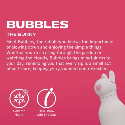 Bestie Asobu Butelka termiczna ze słomką – Królik 460 ml