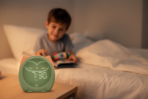 Cloud B Sowa Owlie - Trener snu z funkcją budzika Budzik - Sowa