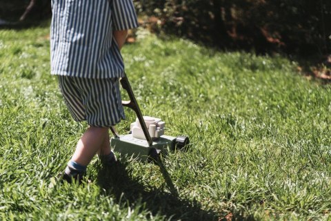 Kosiarka do trawy dla dzieci Zestaw mały ogrodnik GREEN GARDEN DANTOY