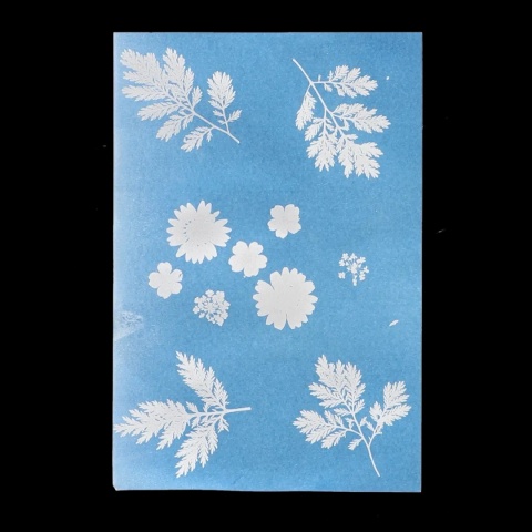 Esschert Design Słoneczny papier fotograficzny A4 6 szt. drukowanie słońcem UV