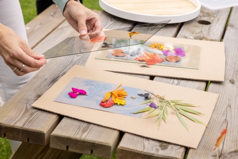 Esschert Design Słoneczny papier fotograficzny A4 6 szt. drukowanie słońcem UV