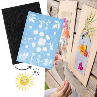 Esschert Design Słoneczny papier fotograficzny A5 12 szt. drukowanie słońcem UV