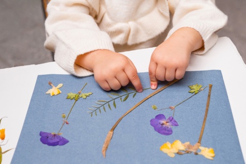 Esschert Design Słoneczny papier fotograficzny A5 12 szt. drukowanie słońcem UV