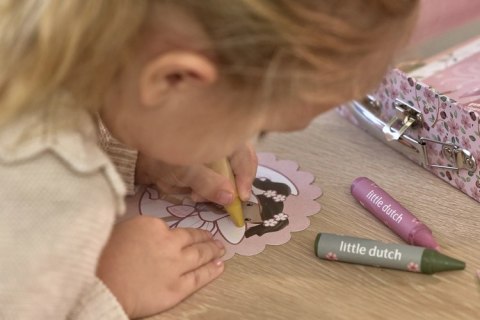 Little Dutch Kreatywna walizka Rosa & Friends