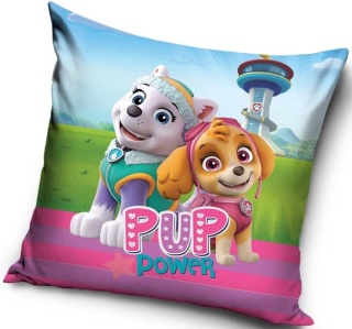 PSI PATROL POSZEWKA NA PODUSZKĘ DLA DZIECI 40x40